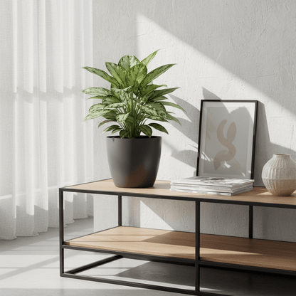 Cache - pot ELHO Brussels Rond — Anthracite Ø18 cm - Verdeia