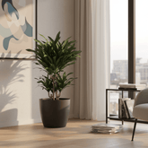 Cache - pot ELHO Brussels Rond — Anthracite Ø25 cm - Verdeia