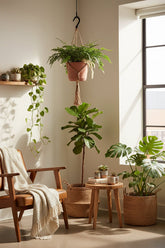 Davallia Bullata - Ø17cm - H30cm - Verdeia