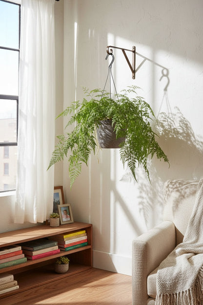 Davallia Bullata - Ø17cm - H30cm - Verdeia