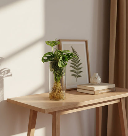 Monstera en vase cylindre en verre – Ø12 cm – H25 cm - Verdeia