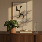 Peperomia sarcophylla — D15 x H25 cm - Verdeia