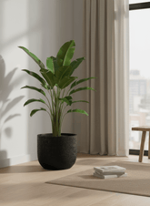 Pot Capi Nature Skin — Anthracite Ø24 cm - Verdeia