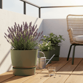 Pot ELHO Greenville Round — Vert Feuillage Ø20 cm - Verdeia