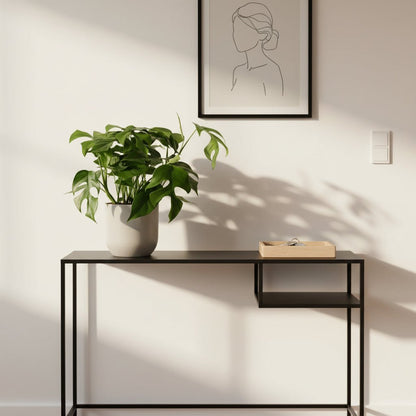 Rhaphidophora tetrasperma — Monstera Minima - Verdeia