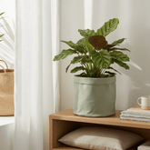 Sac cache - pot Jade — Ø22 cm - Verdeia