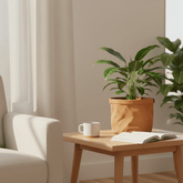 Sac cache - pot Terra — Ø18 cm - Verdeia